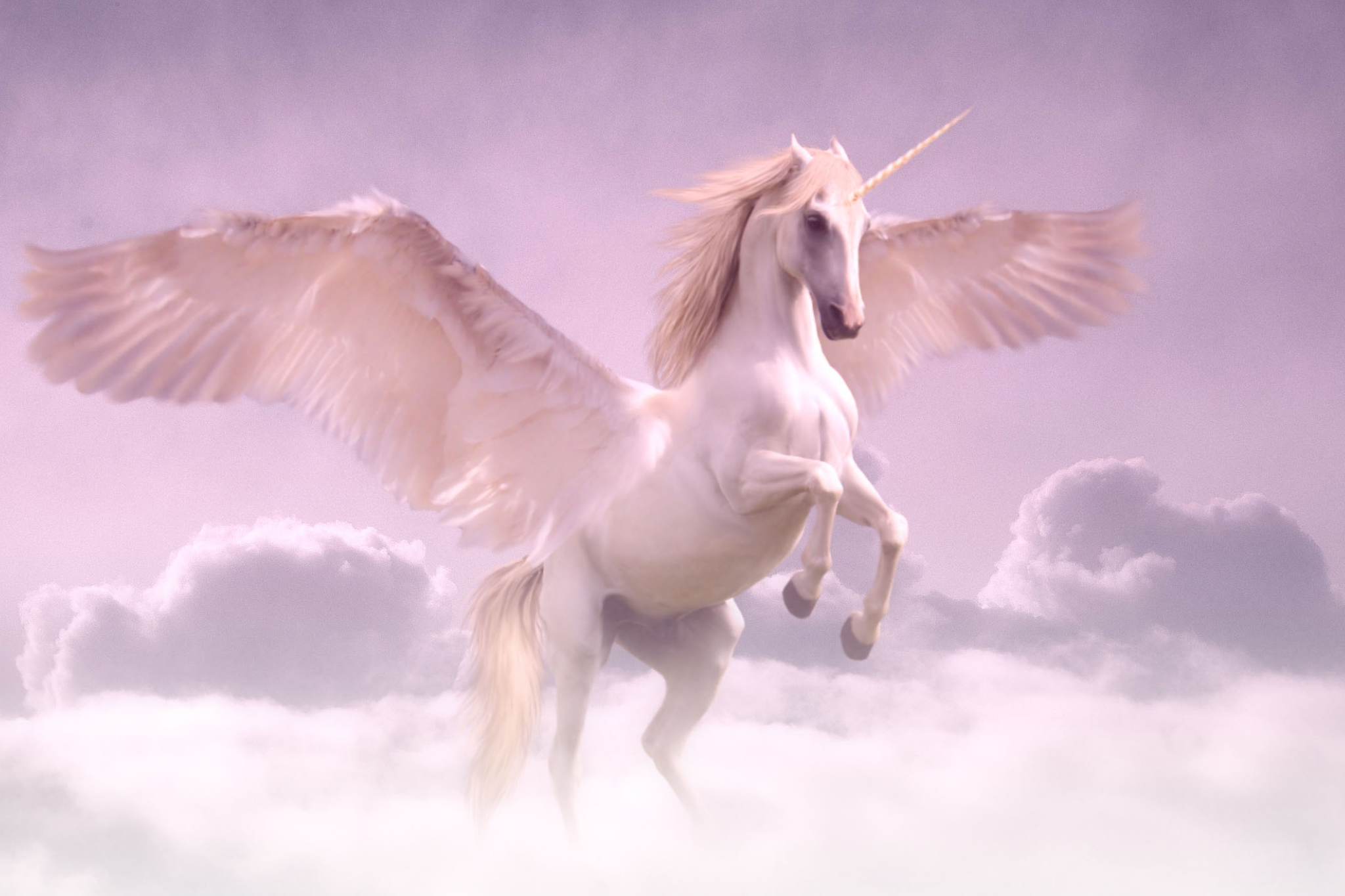 Flying unicorn